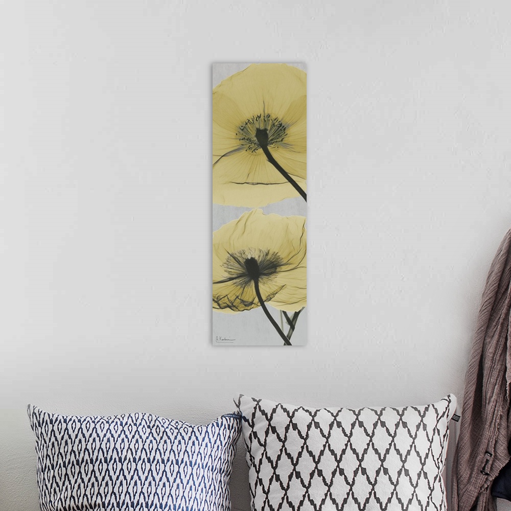 A bohemian room featuring Vertical x-ray photograph of two Icelandic poppies on a cool toned background.