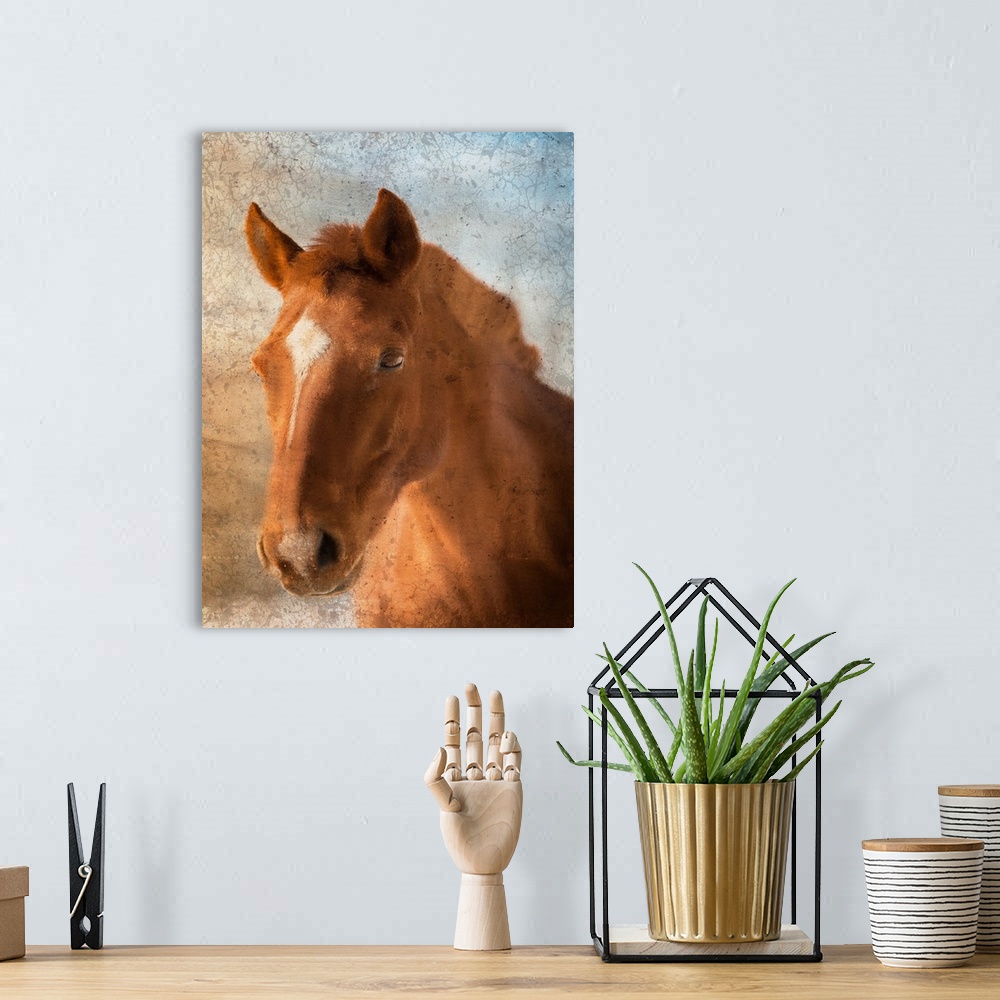 A bohemian room featuring Portrait of a brown horse with a star on its forehead.