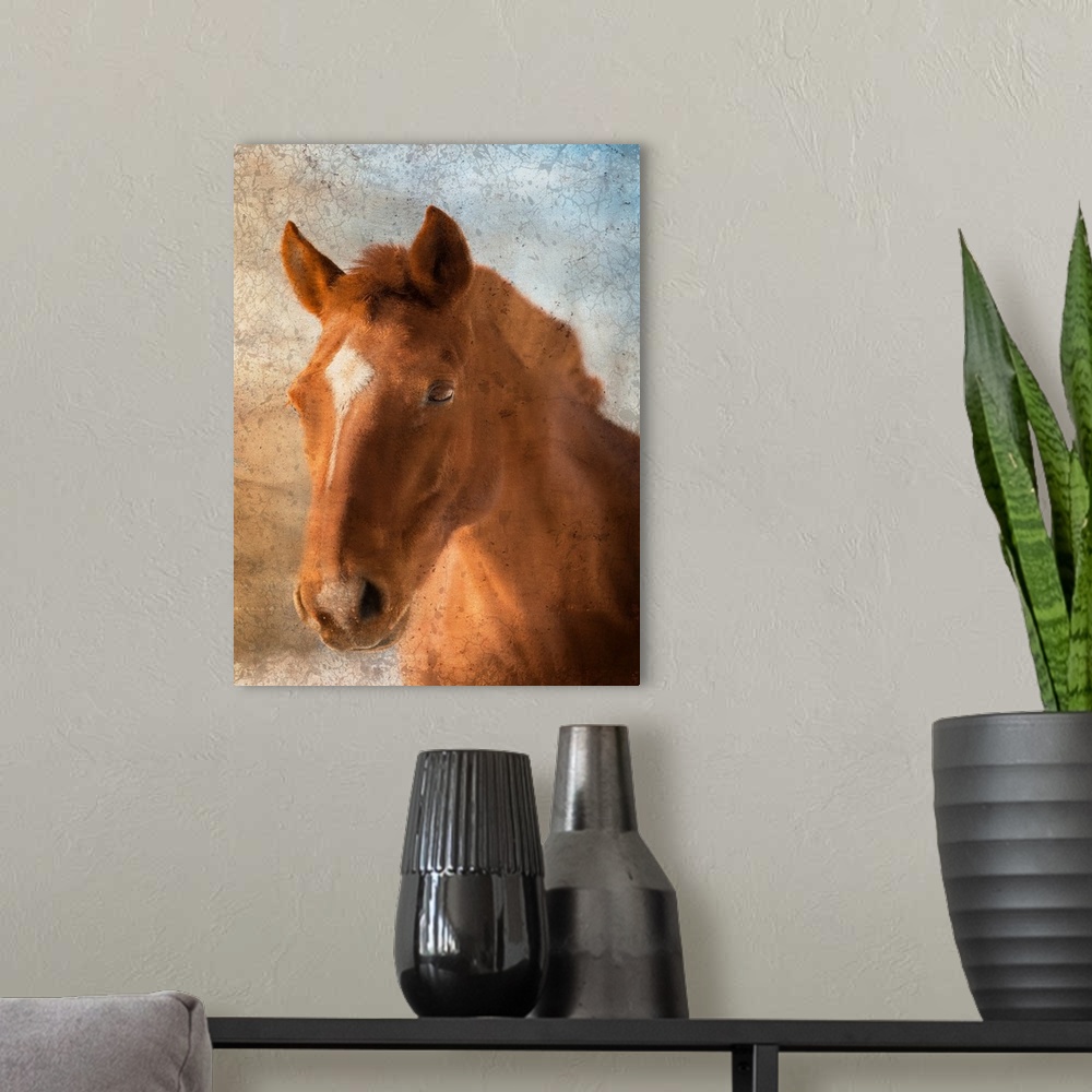 A modern room featuring Portrait of a brown horse with a star on its forehead.
