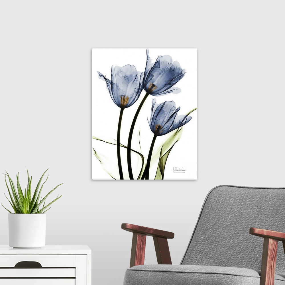 A modern room featuring Indigo Infused Tulips