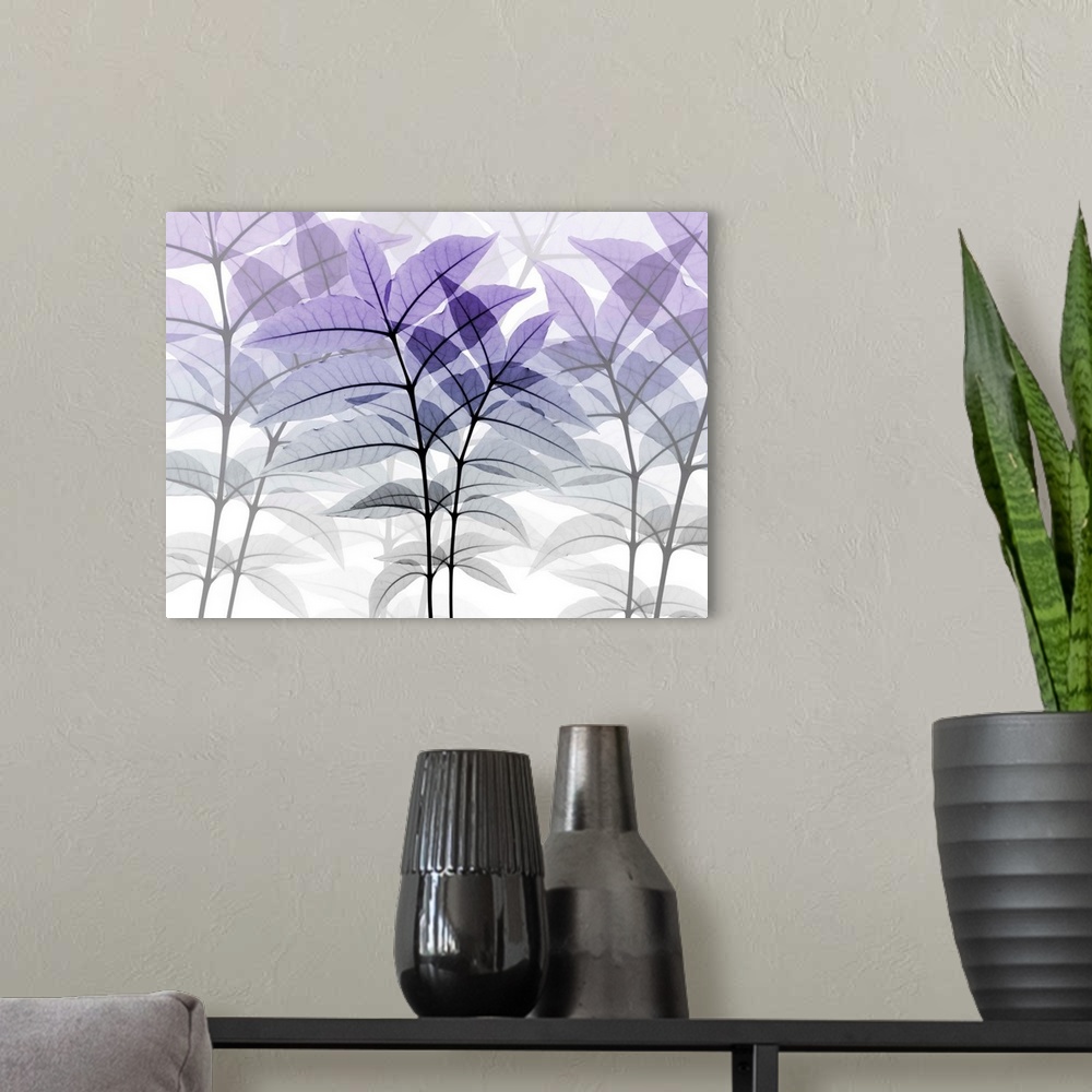 A modern room featuring Lavender Heaven 12