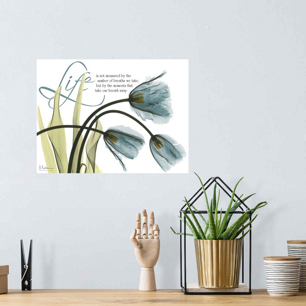 A bohemian room featuring X-Ray photograph of three tulips against a white background. With the word "Life" in the top left...
