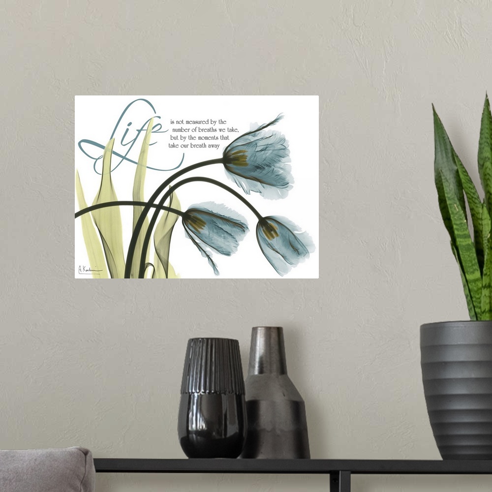 A modern room featuring X-Ray photograph of three tulips against a white background. With the word "Life" in the top left...