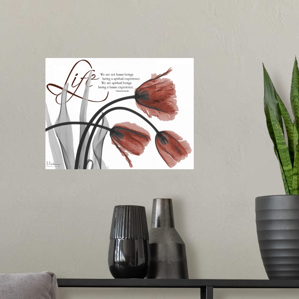 A modern room featuring Life Tulips x-ray photography