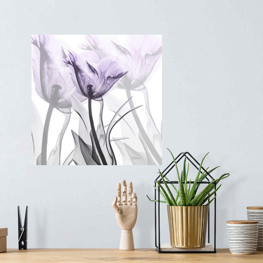 A bohemian room featuring Lilac Luster Tulip 2