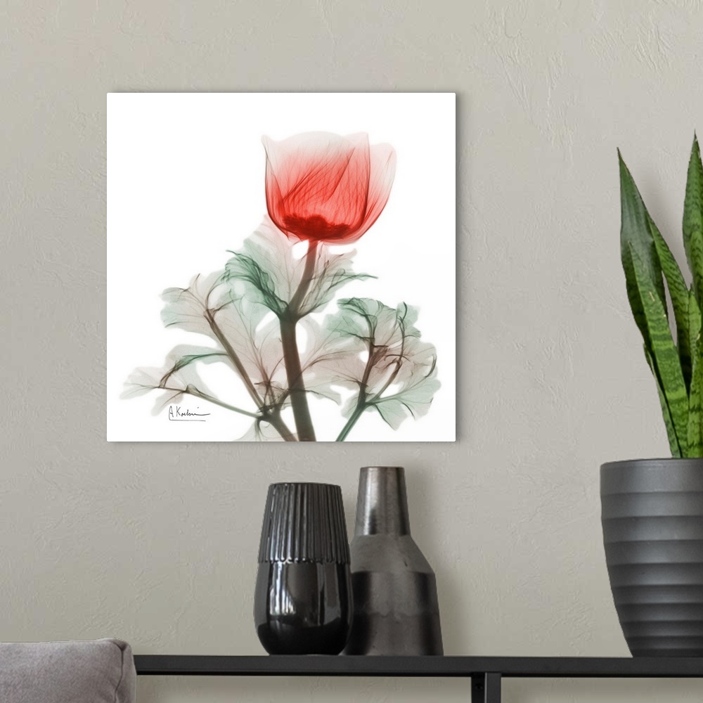 A modern room featuring Lonely Poinciana Anemone
