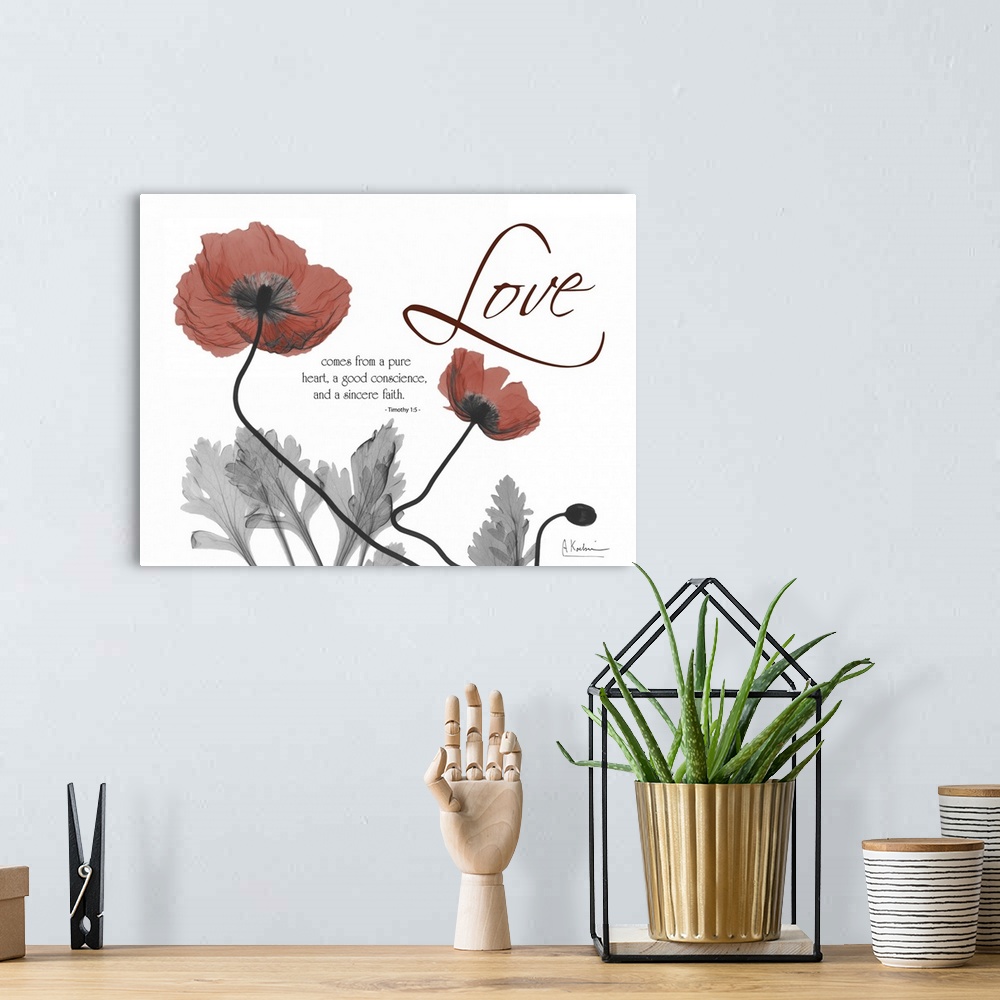 A bohemian room featuring Love Poppies x-ray photography