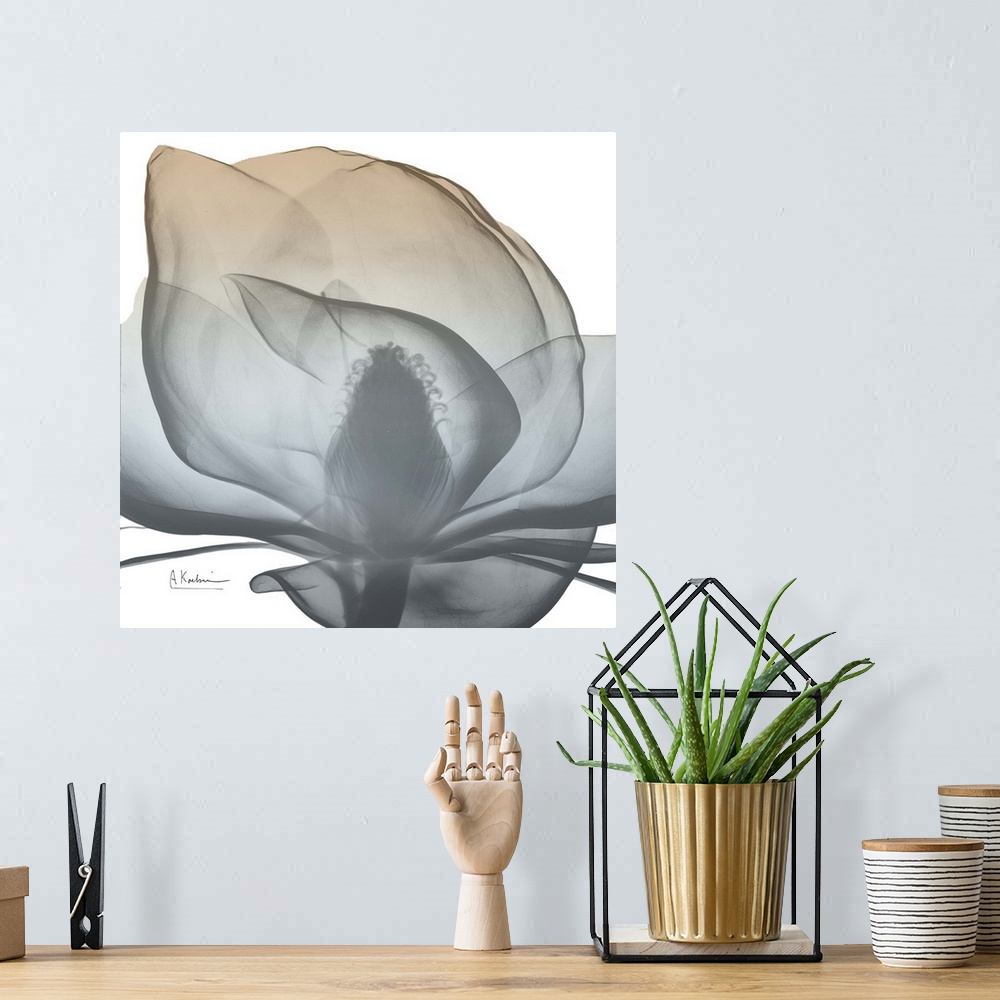 A bohemian room featuring Contemporary home decor artwork of an x-ray photograph of a flower.