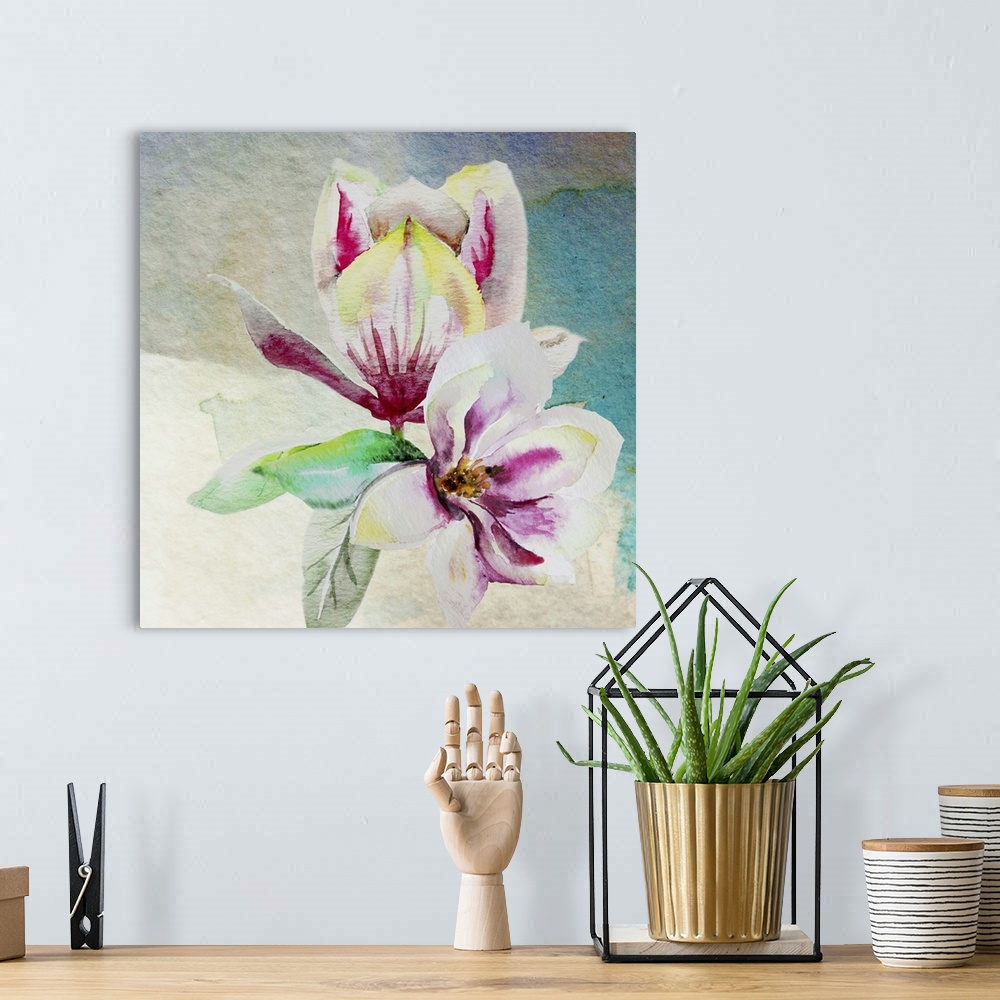 A bohemian room featuring Square watercolor painting of a two magnolia flowers in shades of pink, yellow, white, and green ...