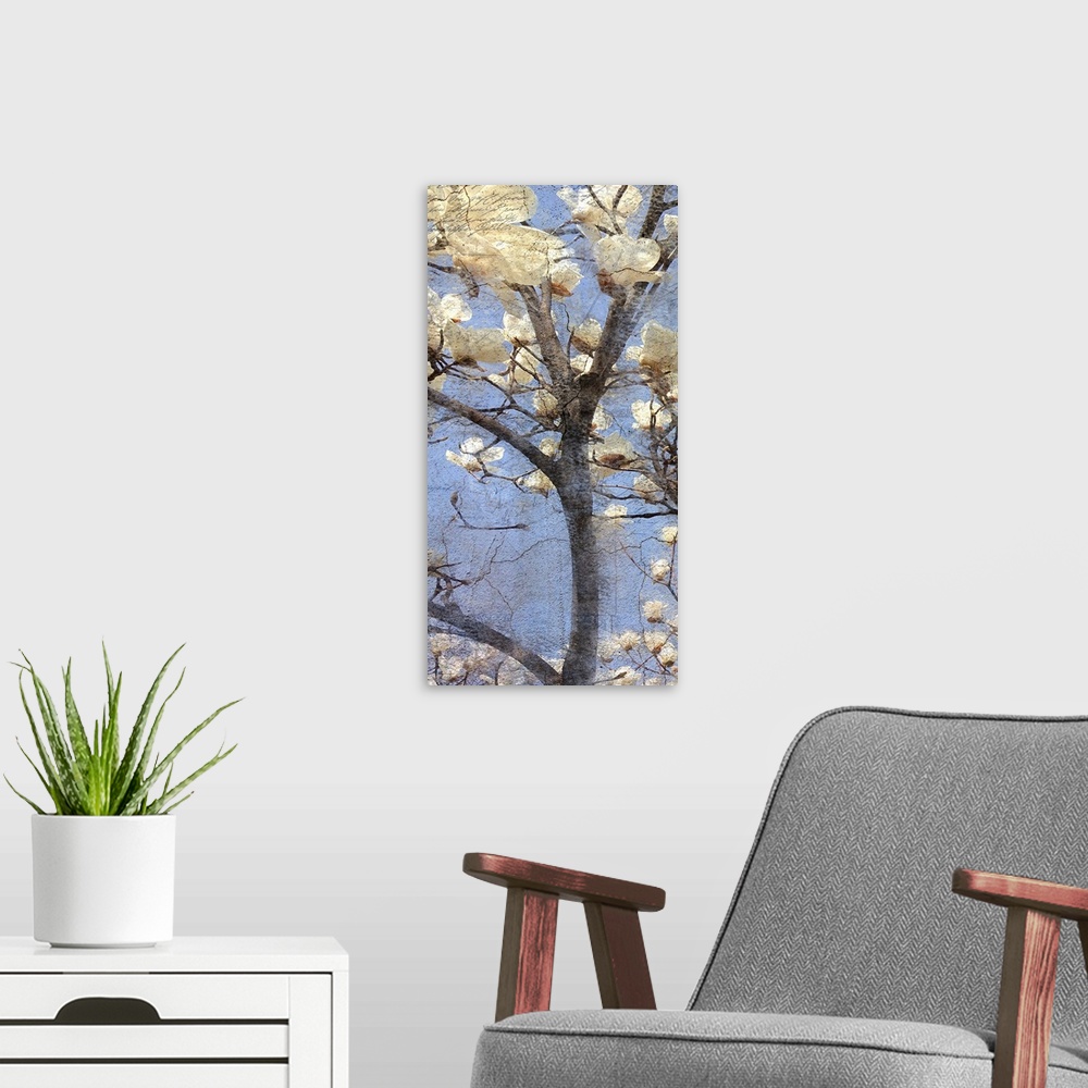 A modern room featuring Contemporary artwork of a close view of white magnolia flowers on a tree.