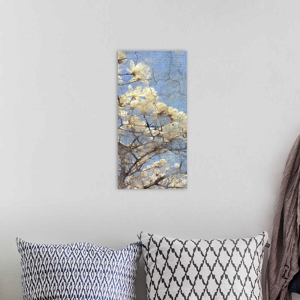 A bohemian room featuring Contemporary artwork of a close view of white magnolia flowers on a tree.