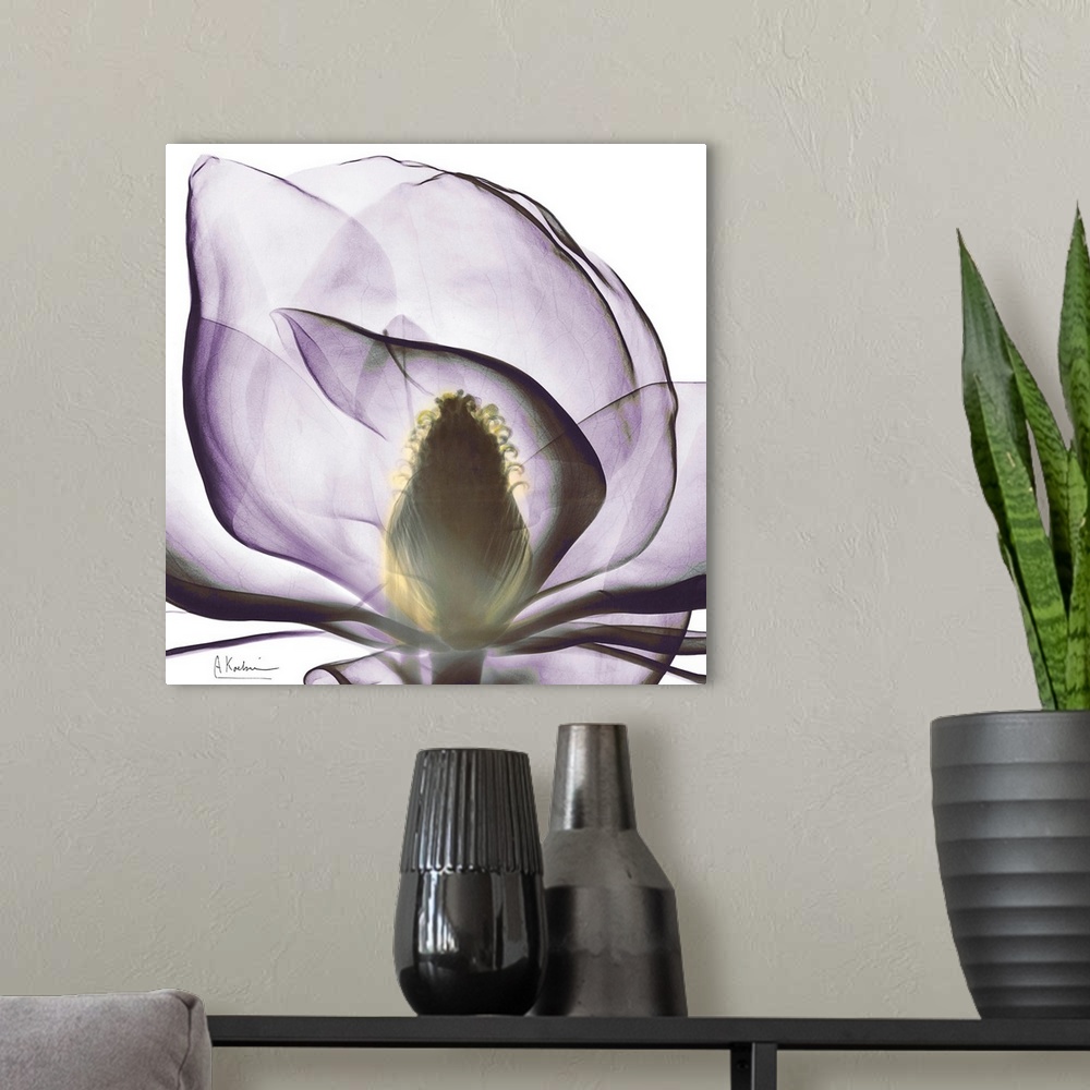 A modern room featuring This square wall art is a close-up photograph of a flower blossom.