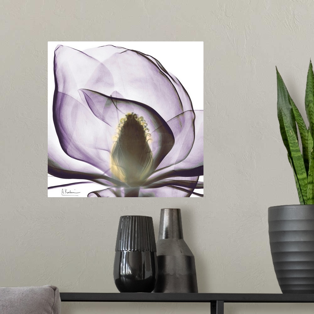A modern room featuring This square wall art is a close-up photograph of a flower blossom.