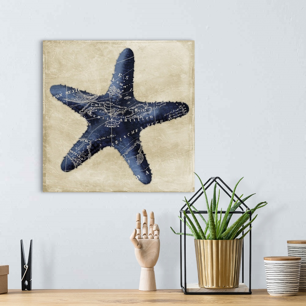 A bohemian room featuring Map Starfish, Indigo