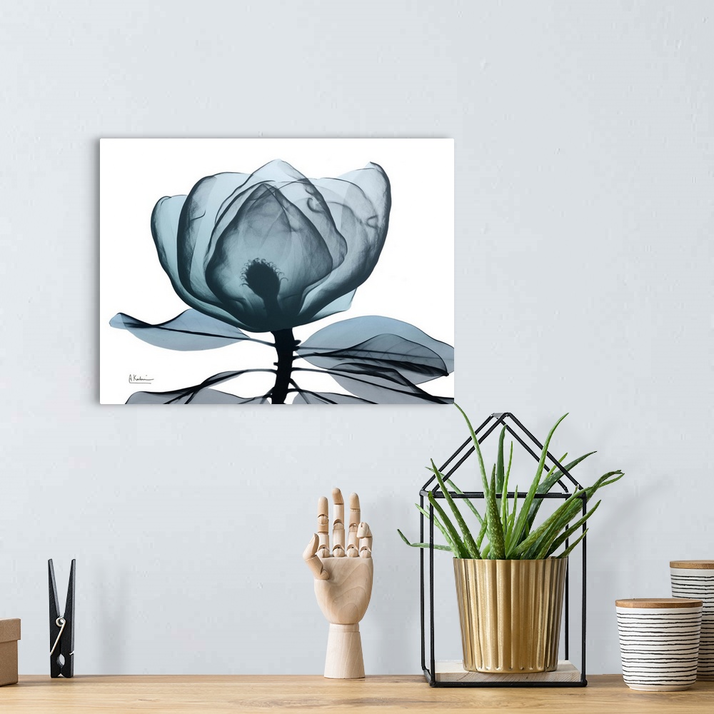A bohemian room featuring Contemporary x-ray photography of a magnolia flower.