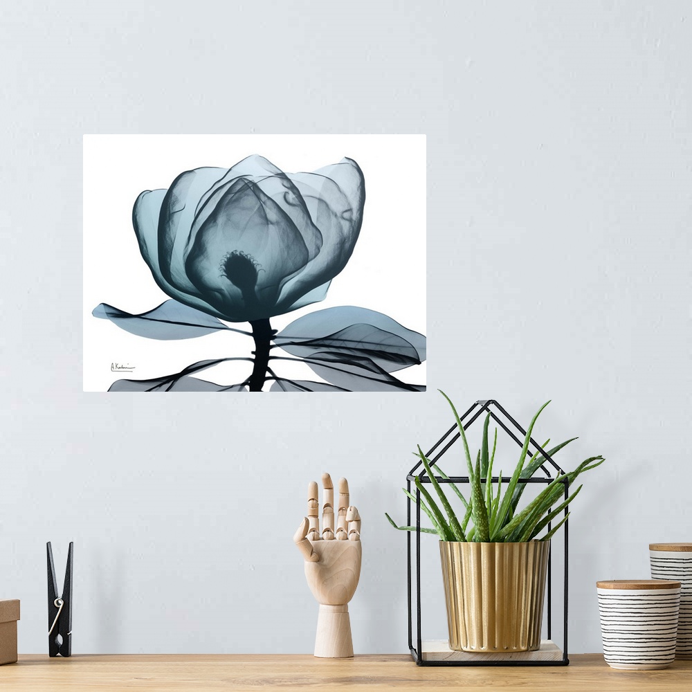 A bohemian room featuring Contemporary x-ray photography of a magnolia flower.