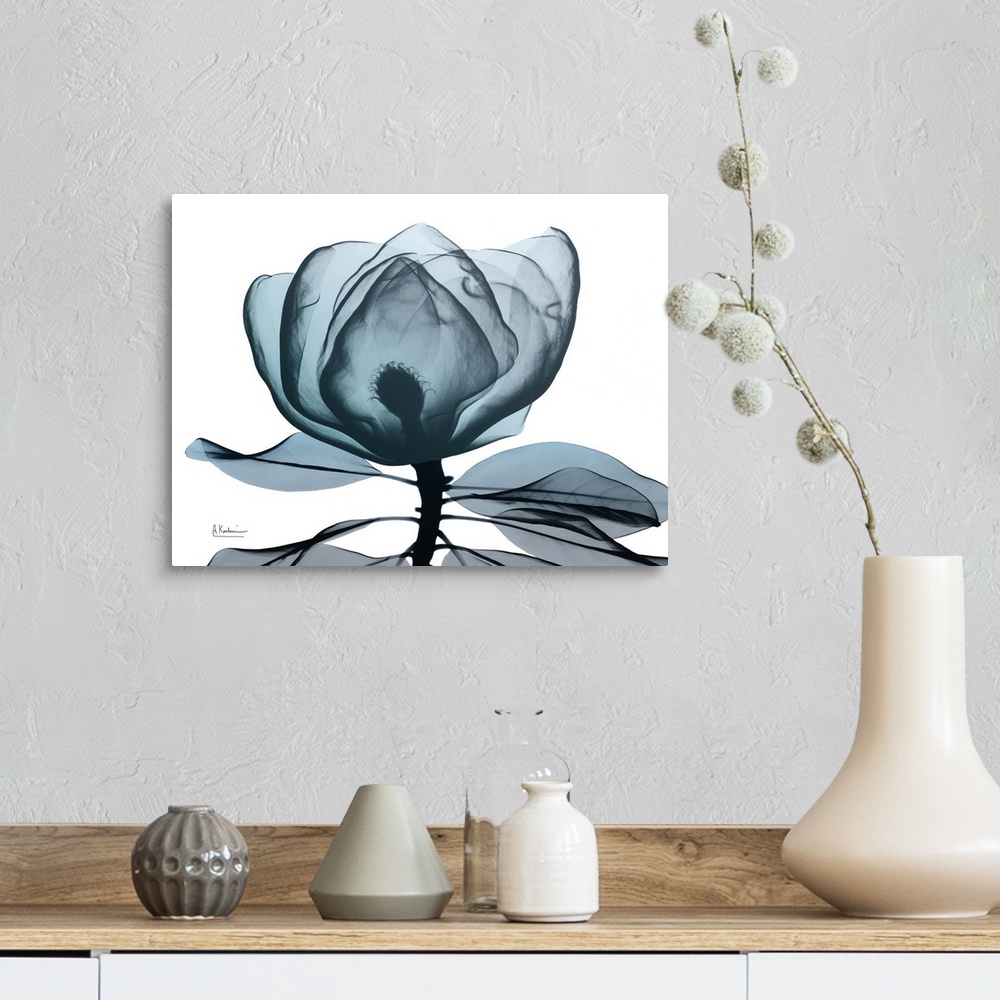 A farmhouse room featuring Contemporary x-ray photography of a magnolia flower.