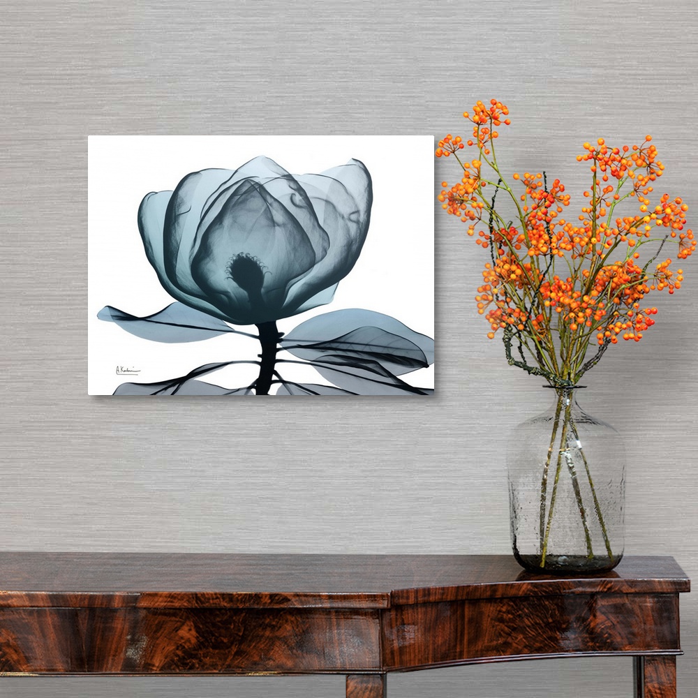 A traditional room featuring Contemporary x-ray photography of a magnolia flower.