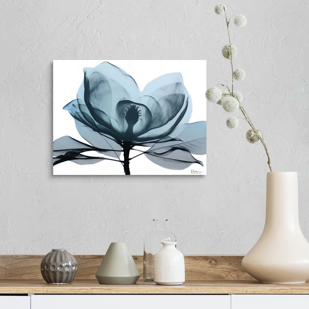 A farmhouse room featuring Contemporary x-ray photography of a magnolia flower.