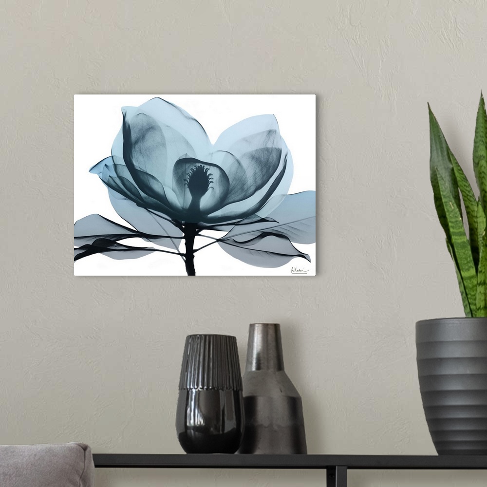 A modern room featuring Contemporary x-ray photography of a magnolia flower.