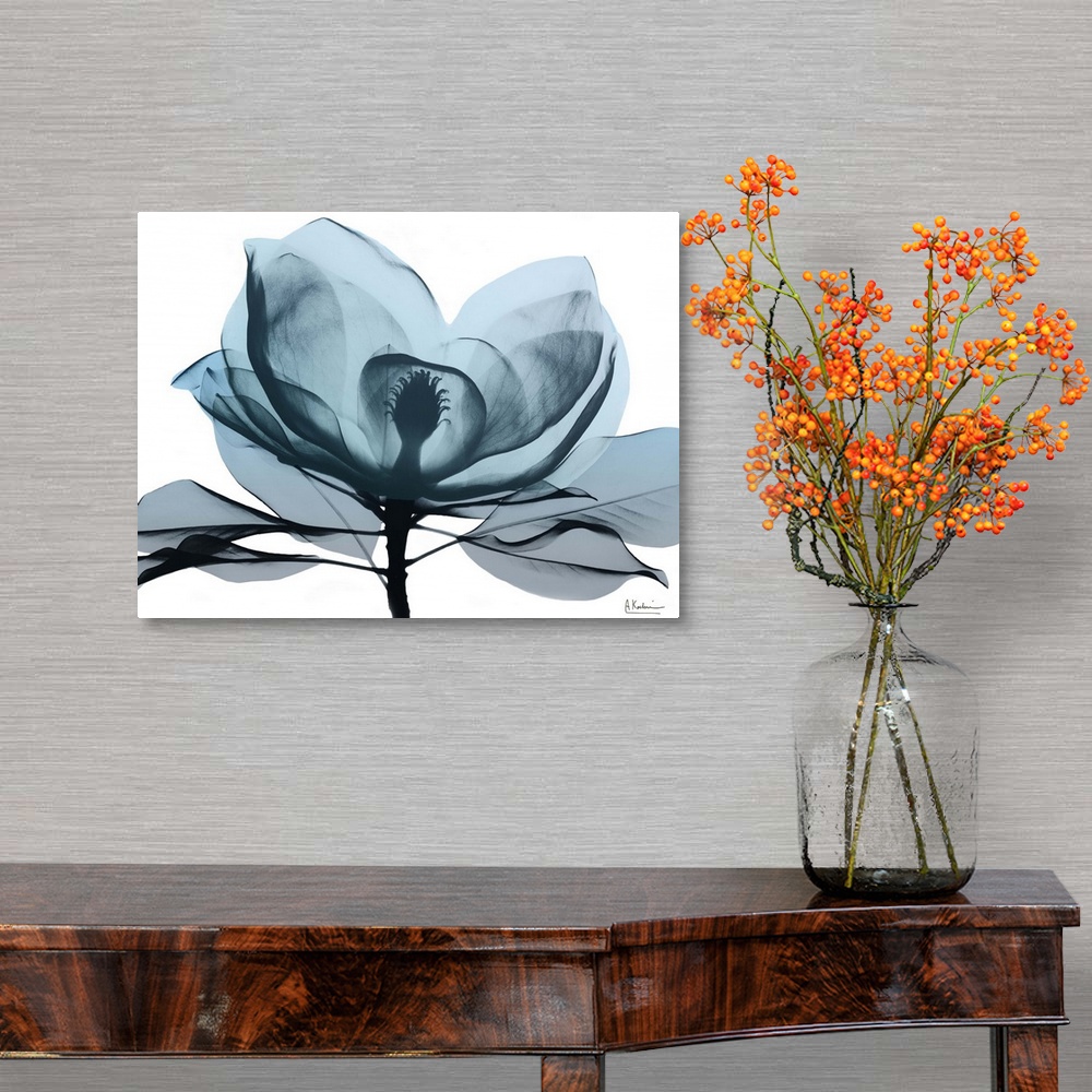 A traditional room featuring Contemporary x-ray photography of a magnolia flower.