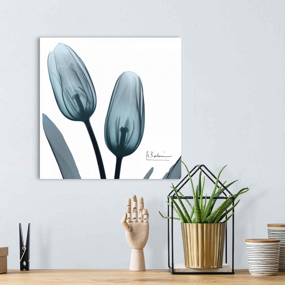 A bohemian room featuring Contemporary x-ray photography of tulips in blue tones.