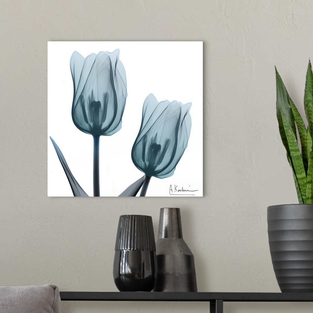 A modern room featuring Contemporary x-ray photography of tulips in blue tones.