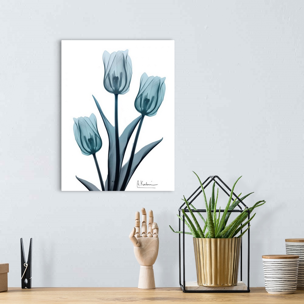 A bohemian room featuring Contemporary x-ray photograph of tulip flowers.