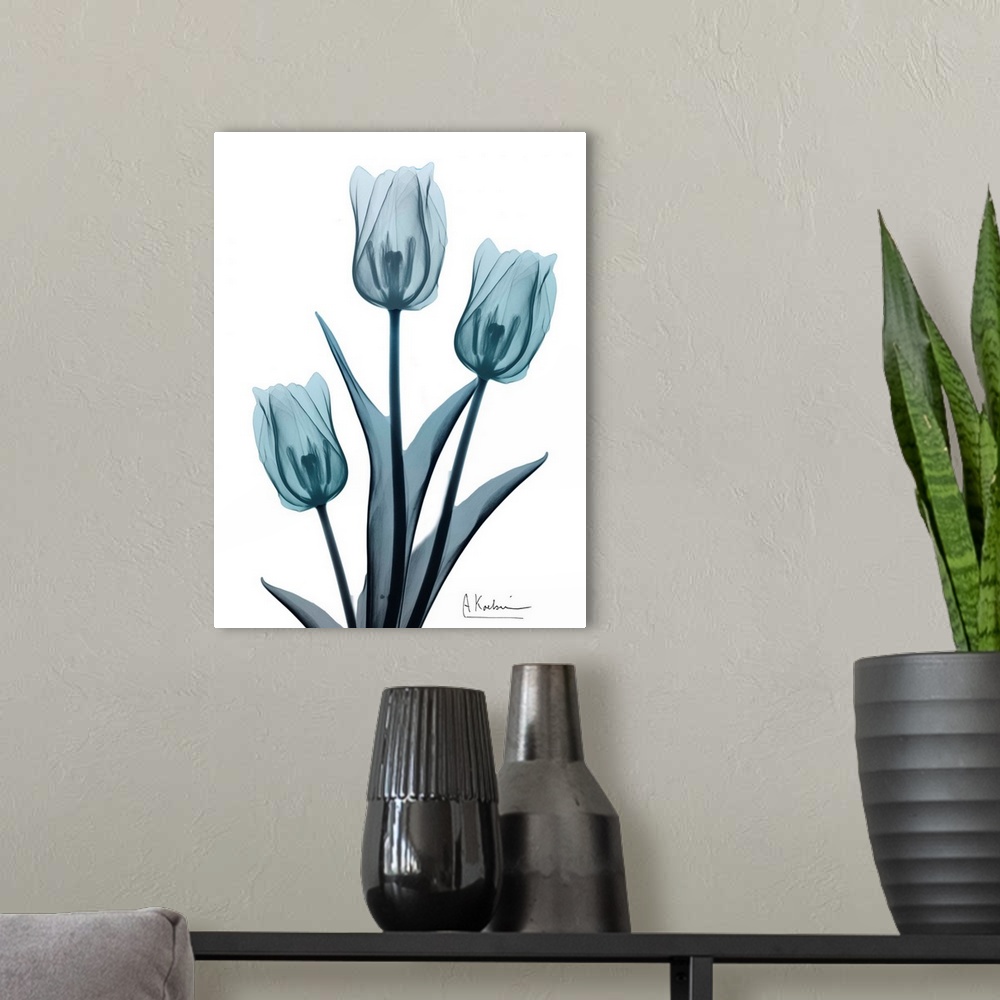 A modern room featuring Contemporary x-ray photograph of tulip flowers.