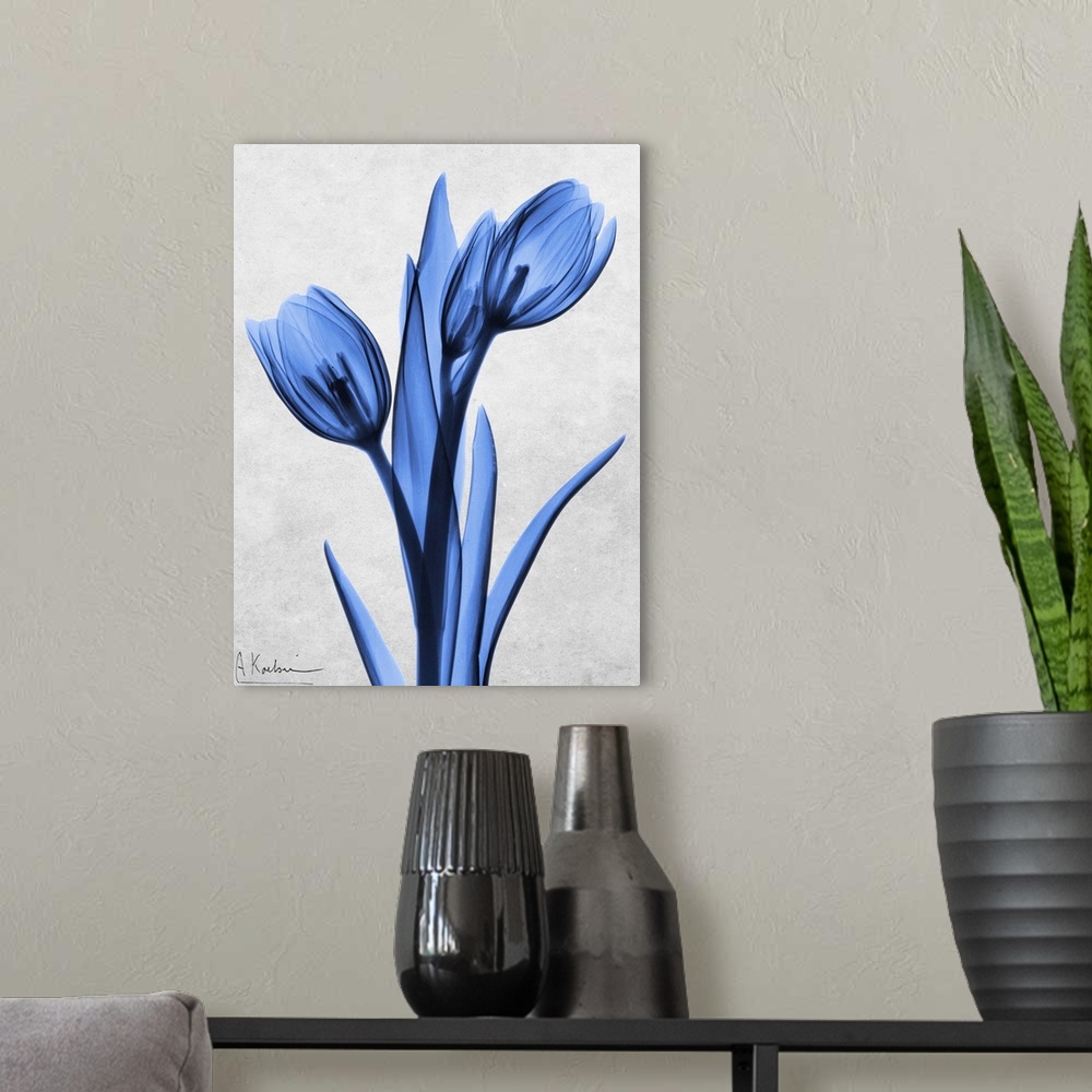 A modern room featuring An x-ray photograph of blue tulips against a neutral background.