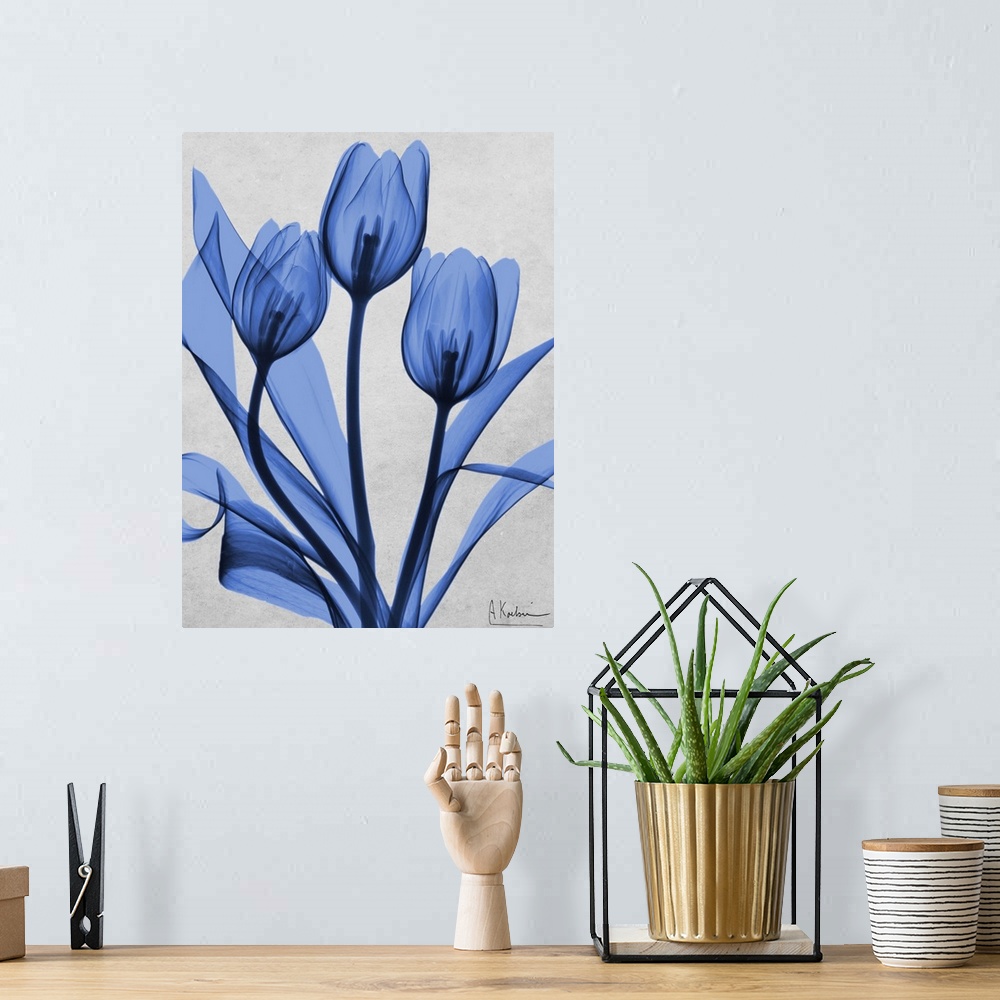 A bohemian room featuring An x-ray photograph of blue tulips against a neutral background.
