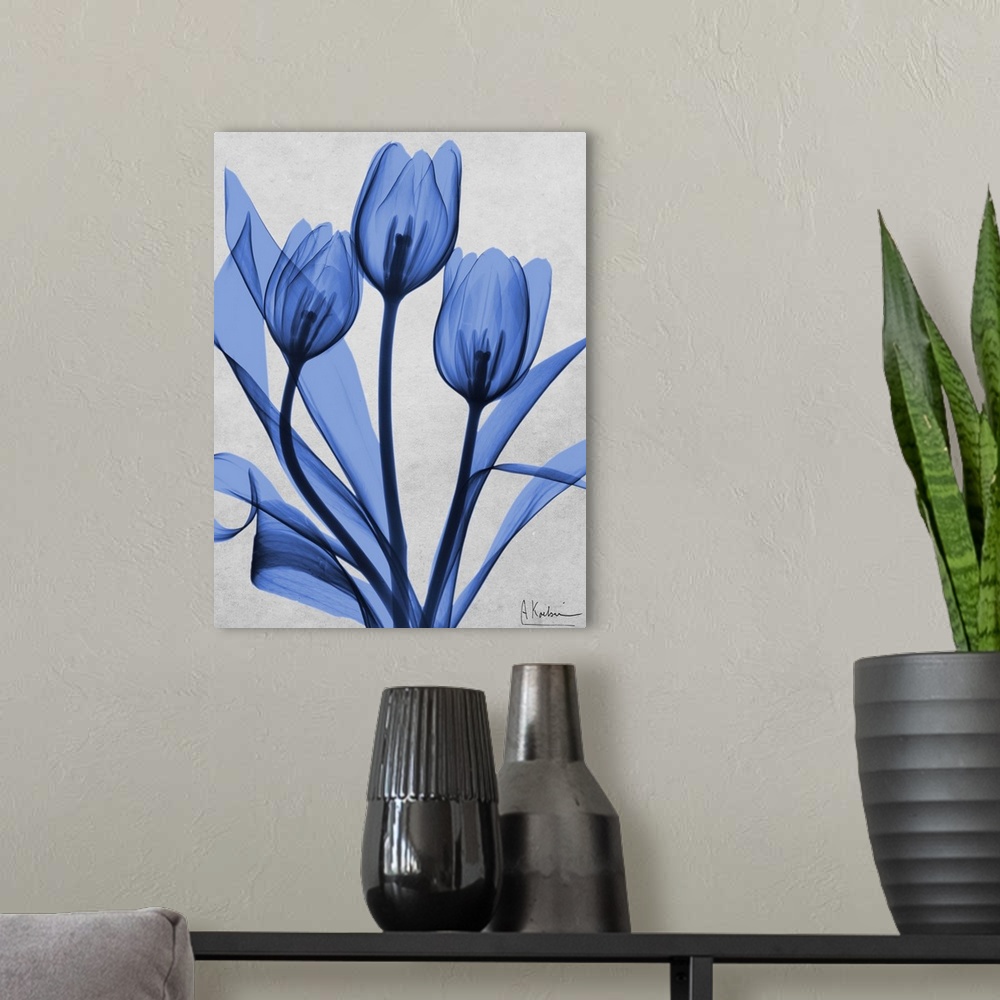 A modern room featuring An x-ray photograph of blue tulips against a neutral background.