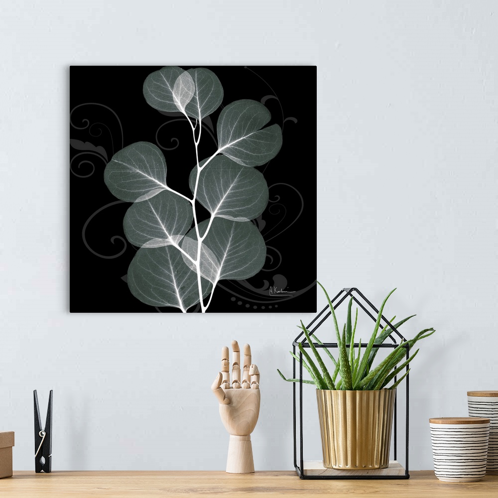 A bohemian room featuring An x-ray of mint eucalyptus leaves on a black and grey designed background.