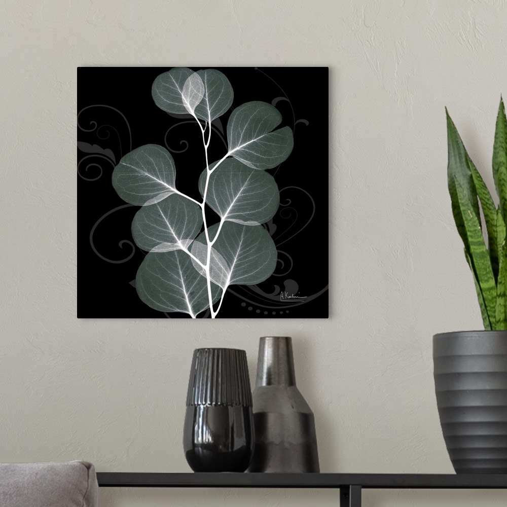 A modern room featuring An x-ray of mint eucalyptus leaves on a black and grey designed background.