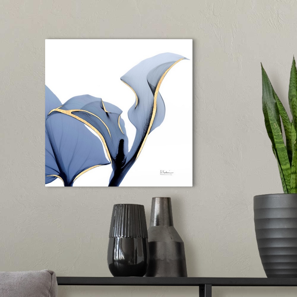 A modern room featuring Moonlit Calla Lily