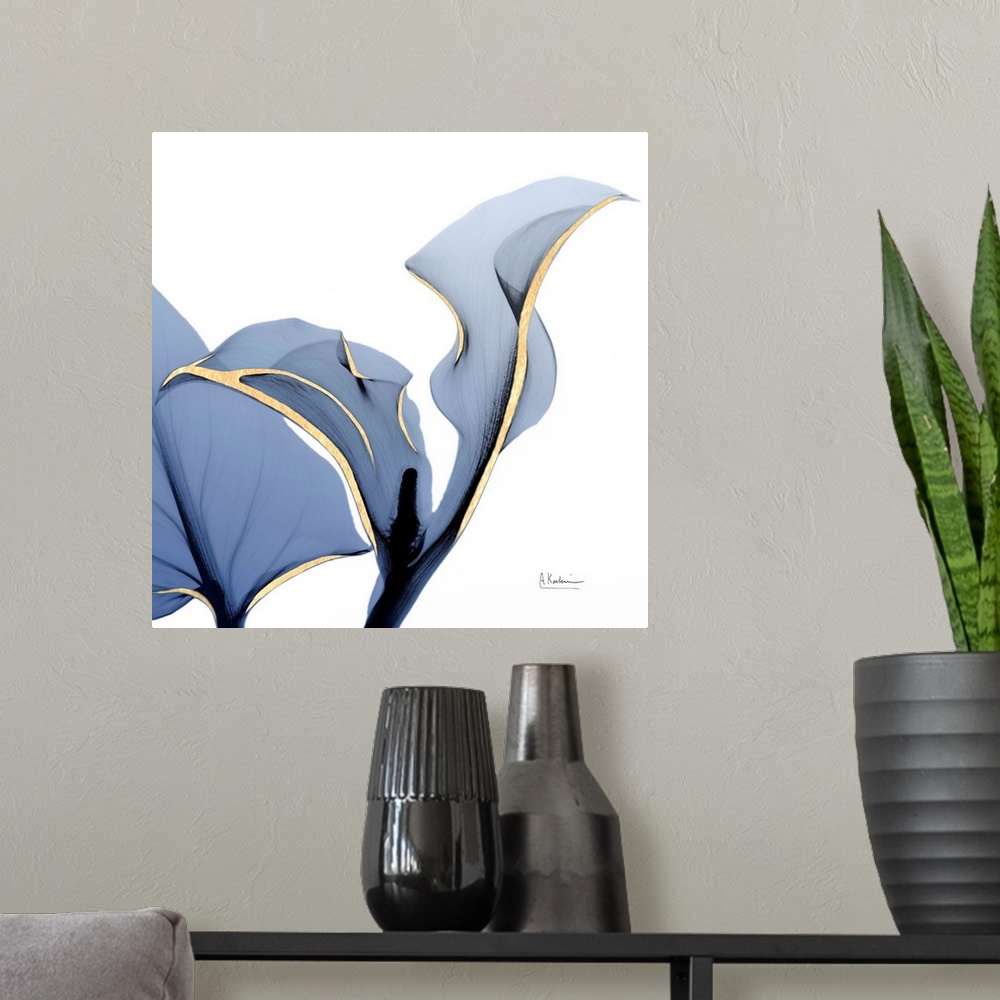 A modern room featuring Moonlit Calla Lily
