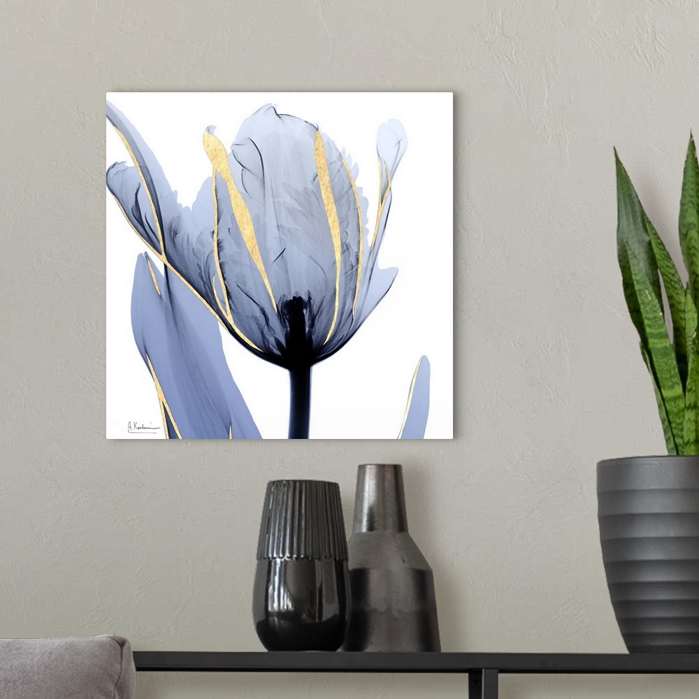 A modern room featuring Moonlit Tulip