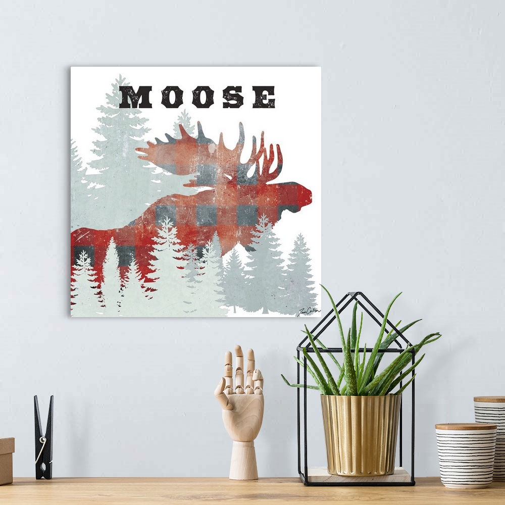 A bohemian room featuring Moose Plaid