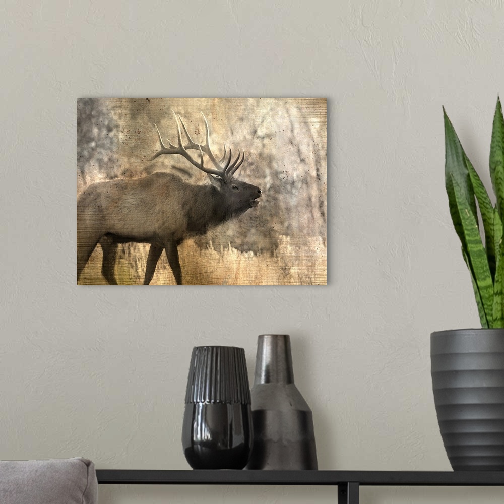 A modern room featuring An elk walking through the woods in the morning.