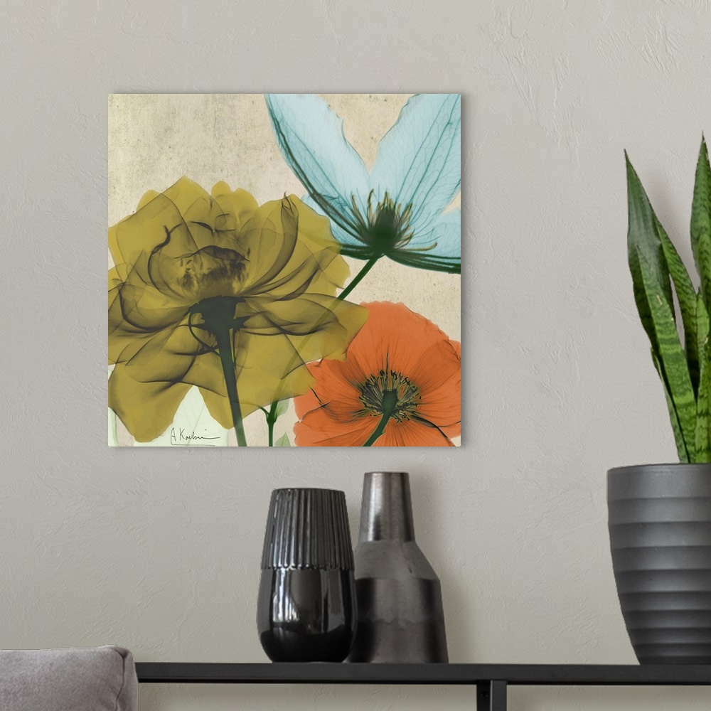 A modern room featuring X-Ray photography of garden flowers in soft tones.