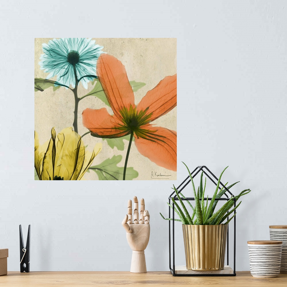 A bohemian room featuring X-Ray photography of garden flowers in soft tones.