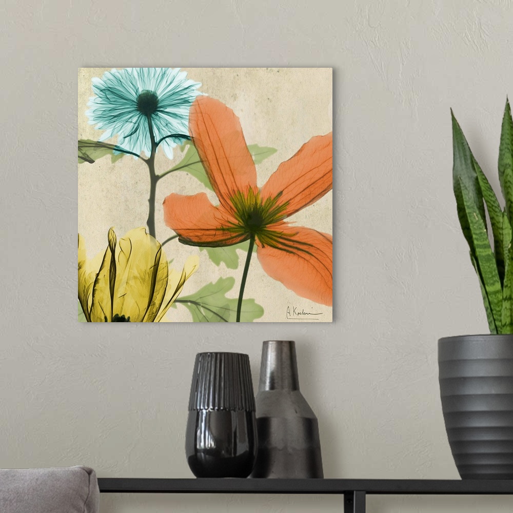 A modern room featuring X-Ray photography of garden flowers in soft tones.