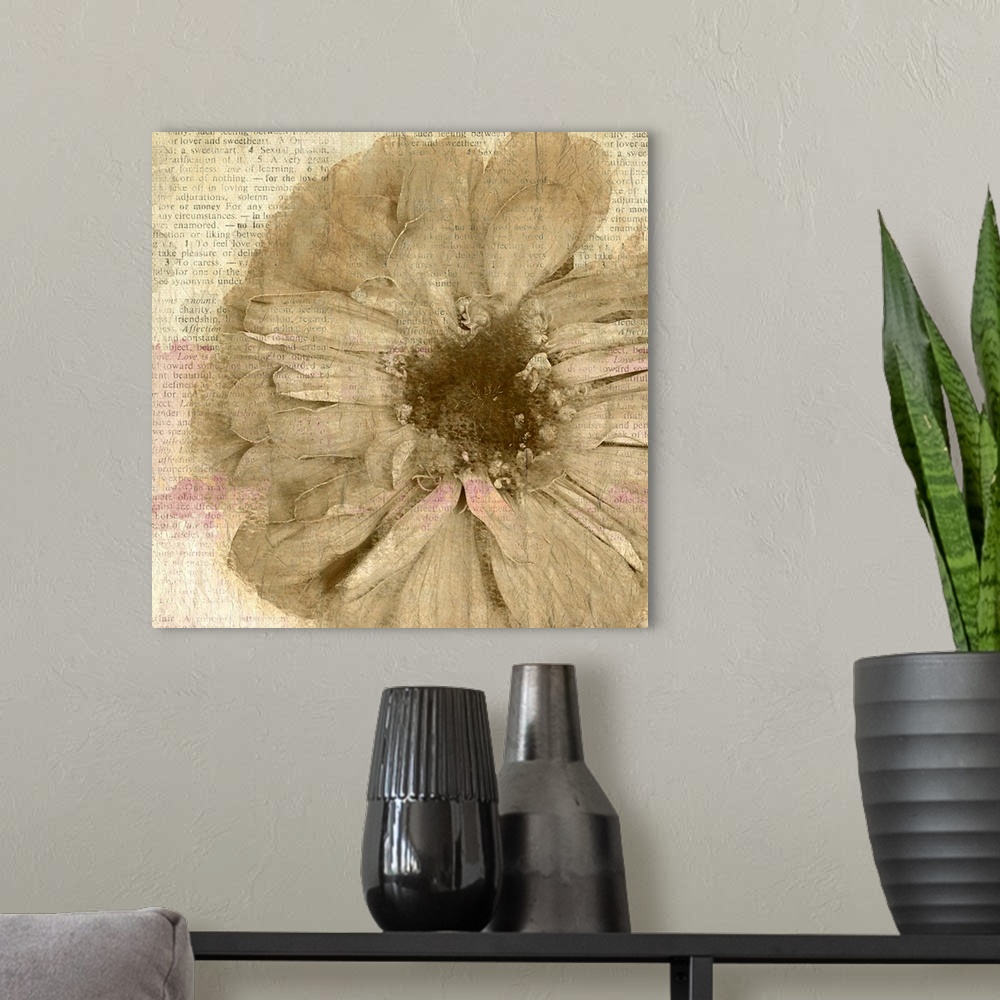 A modern room featuring A sepia toned flower painted on newspaper clippings with hints of magenta.