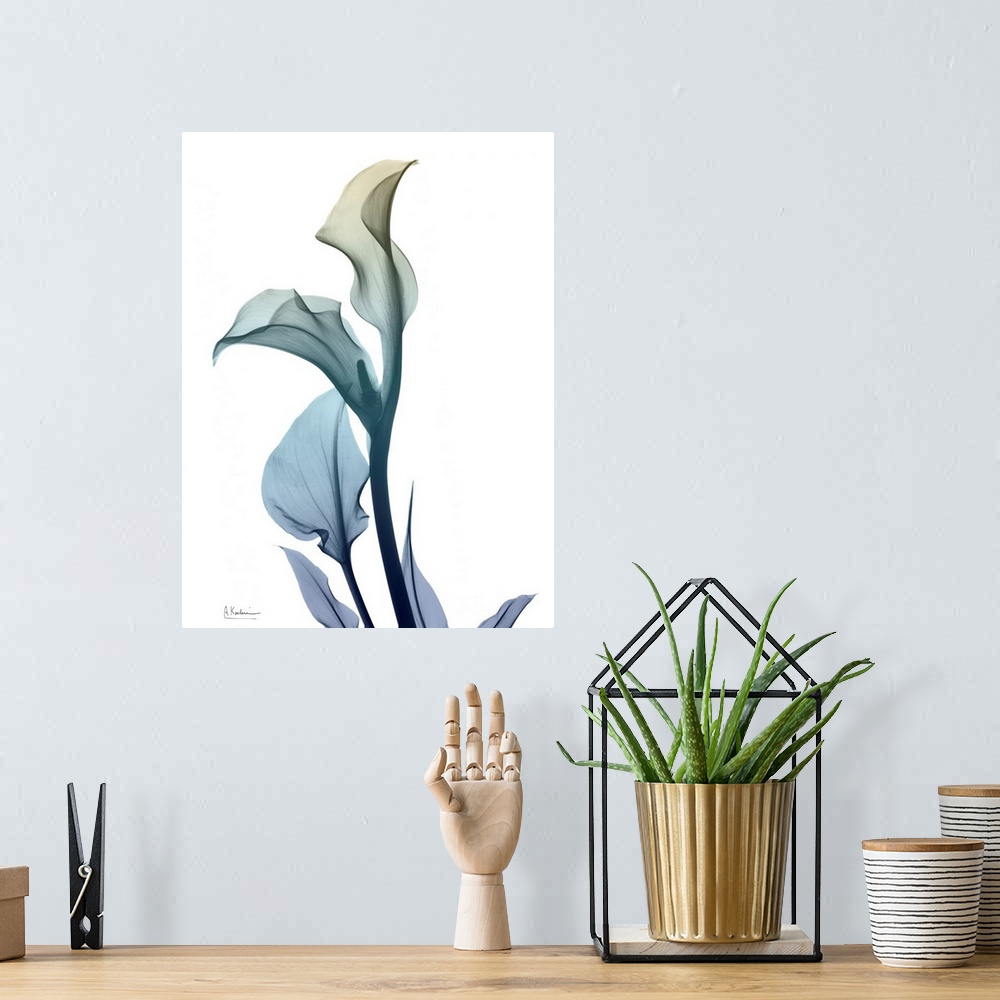 A bohemian room featuring Ombre Expression 1_Calla Lily