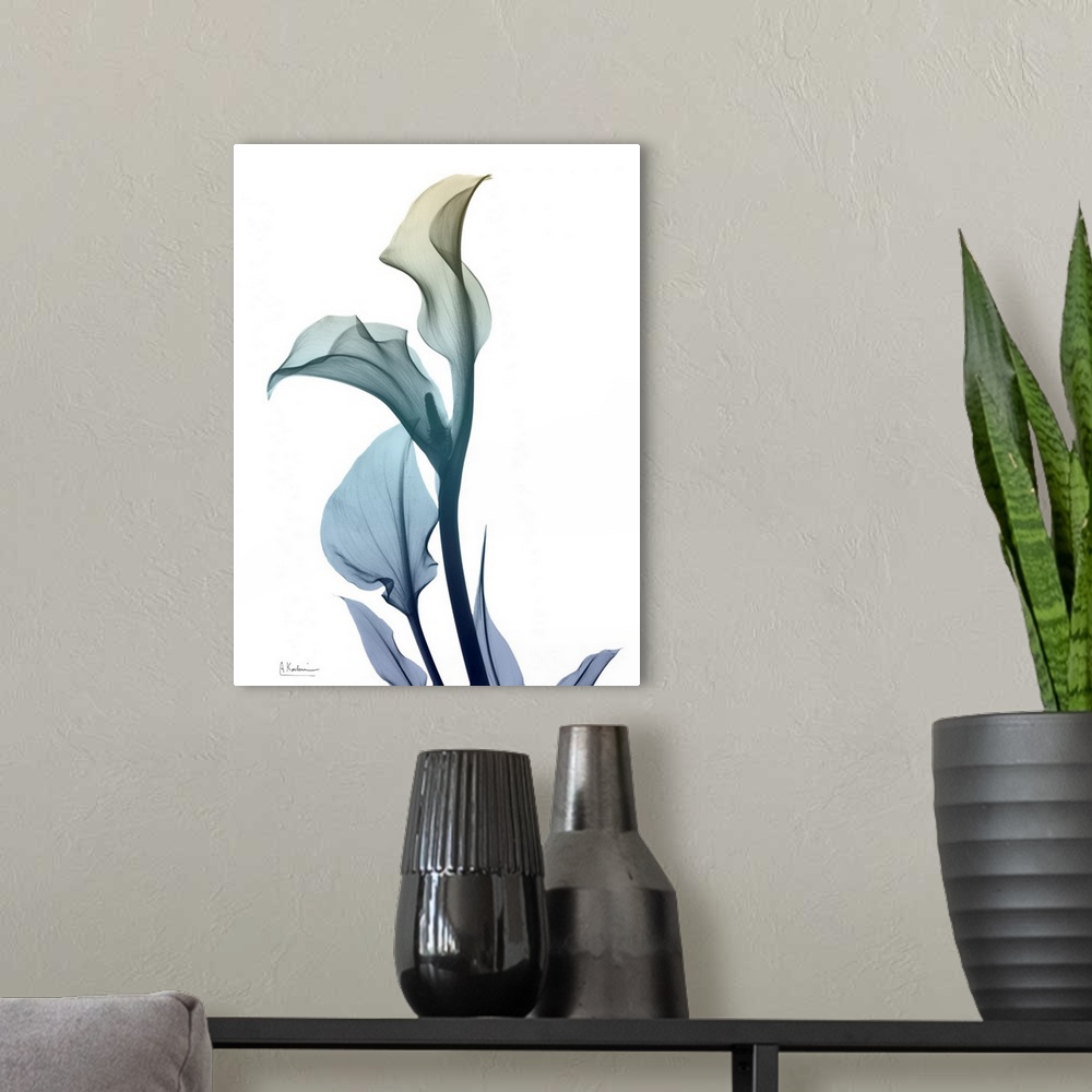 A modern room featuring Ombre Expression 1_Calla Lily