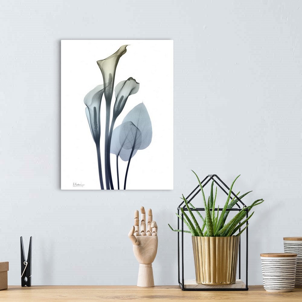 A bohemian room featuring Ombre Expression 2_Calla Lily 2