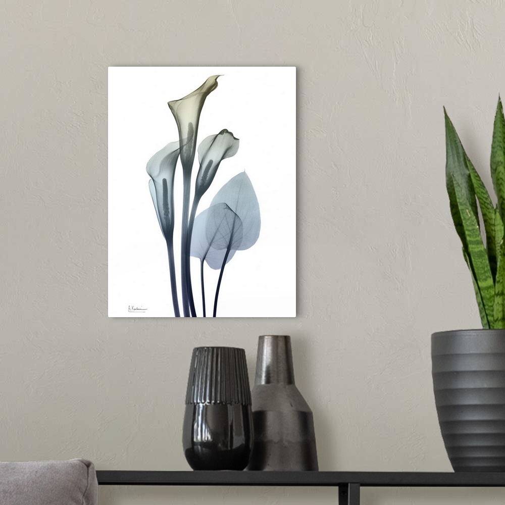 A modern room featuring Ombre Expression 2_Calla Lily 2