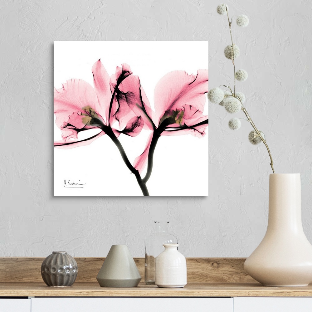 A farmhouse room featuring Square photo art of a  translucent view of a flower on a blank background.