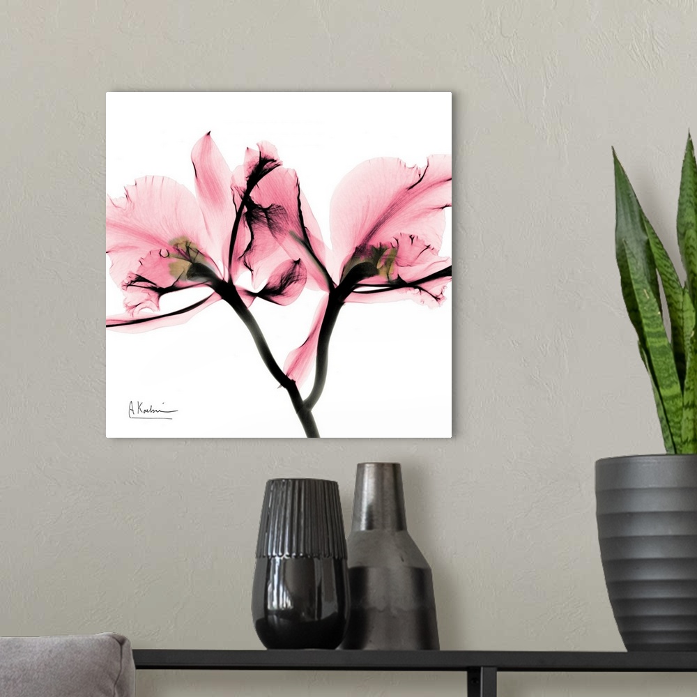 A modern room featuring Square photo art of a  translucent view of a flower on a blank background.