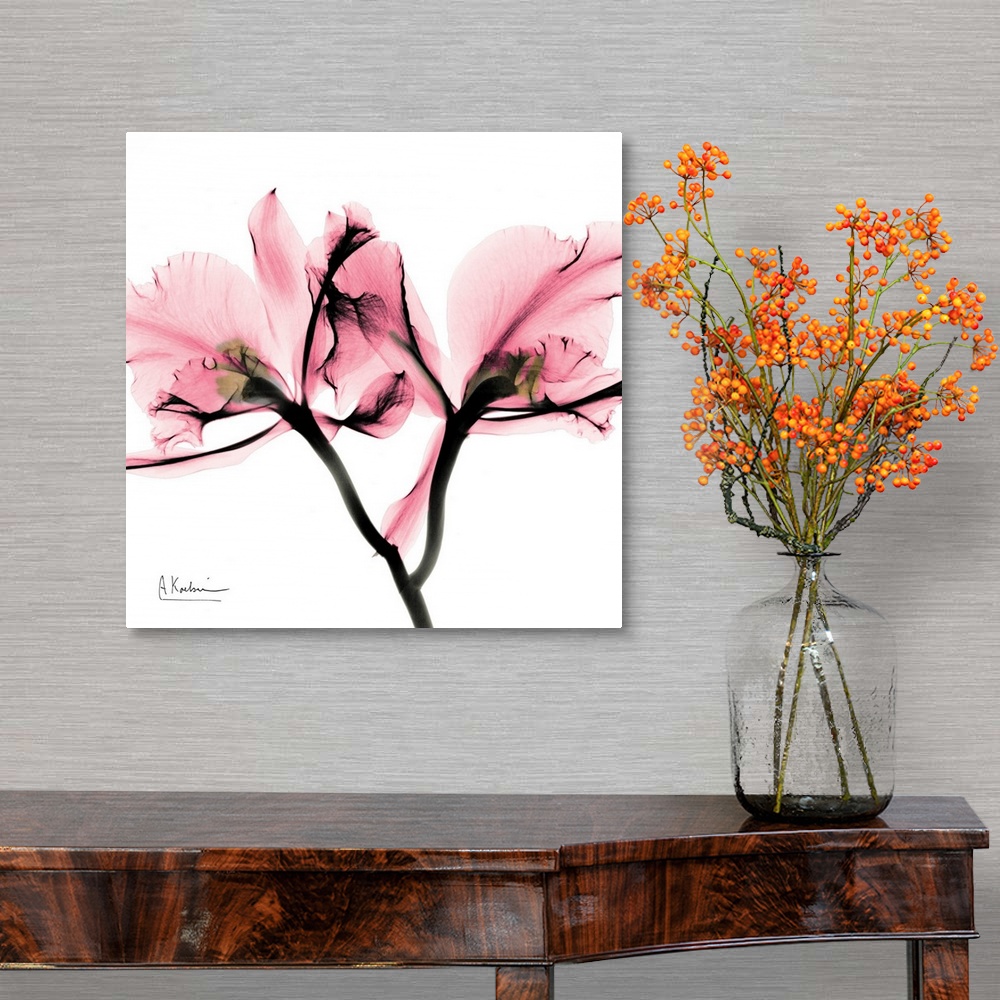 A traditional room featuring Square photo art of a  translucent view of a flower on a blank background.